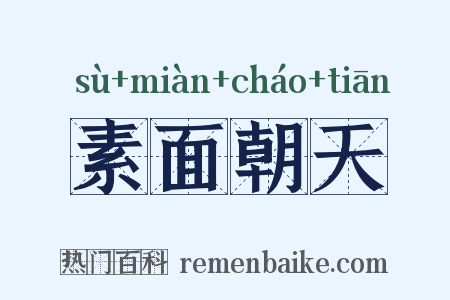 素面朝天是什么意思的图片